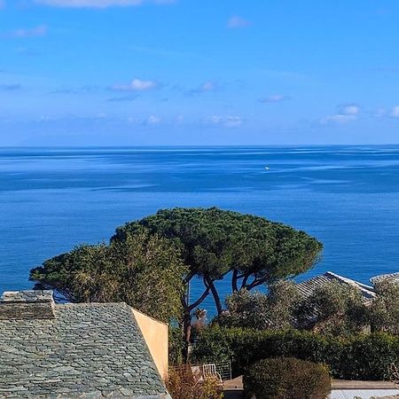 Superb Apartment With Sea View, 200M From Beach San-Martino-di-Lota Kültér fotó