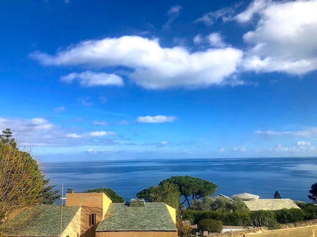 Superb Apartment With Sea View, 200M From Beach San-Martino-di-Lota Kültér fotó