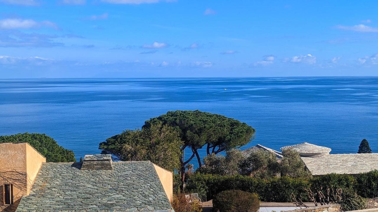 Superb Apartment With Sea View, 200M From Beach San-Martino-di-Lota Kültér fotó