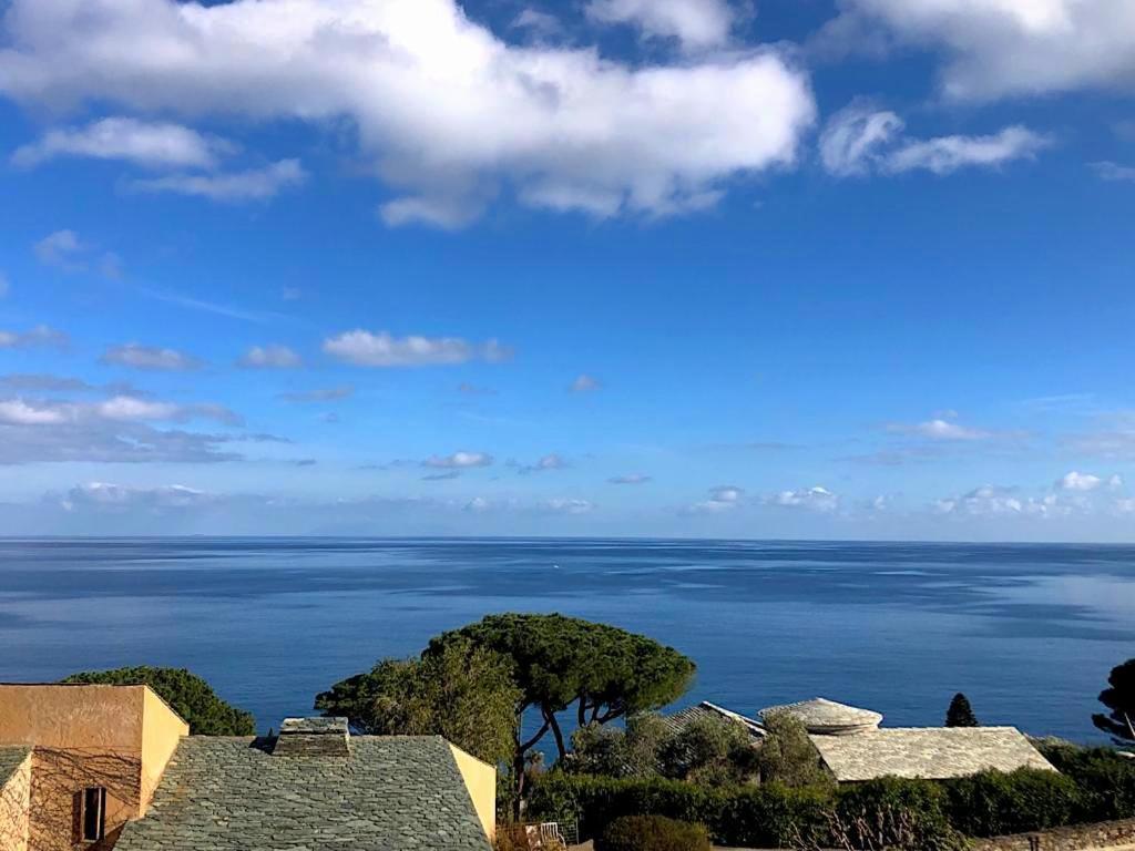 Superb Apartment With Sea View, 200M From Beach San-Martino-di-Lota Kültér fotó